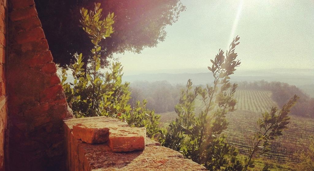Bed & Breakfast Pieve De' Pitti *