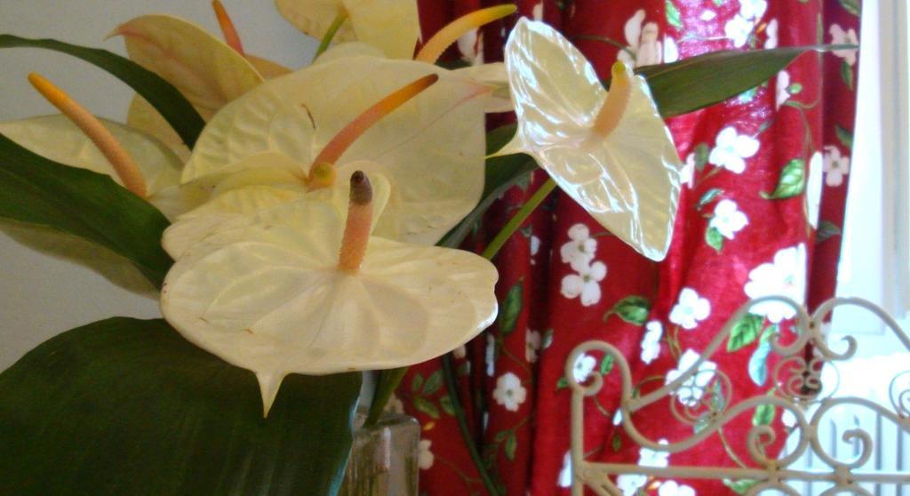 Bed & Breakfast Pieve De' Pitti