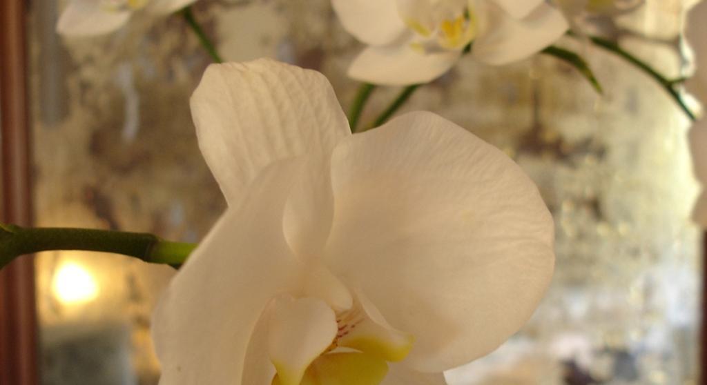 Bed & Breakfast Pieve De' Pitti