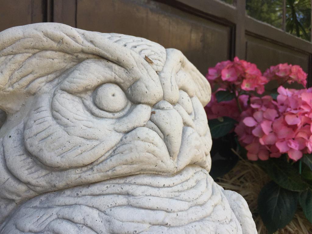 Bed & Breakfast Pieve De' Pitti Terricciola