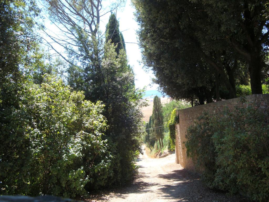Bed & Breakfast Pieve De' Pitti Terricciola