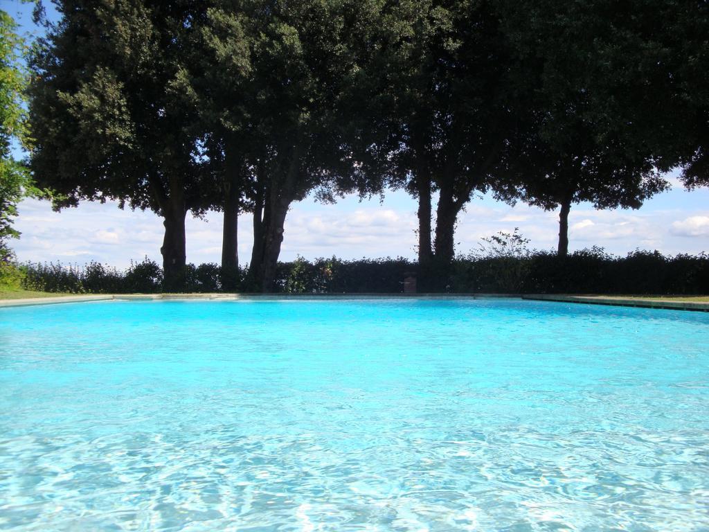 Pieve De' Pitti Terricciola