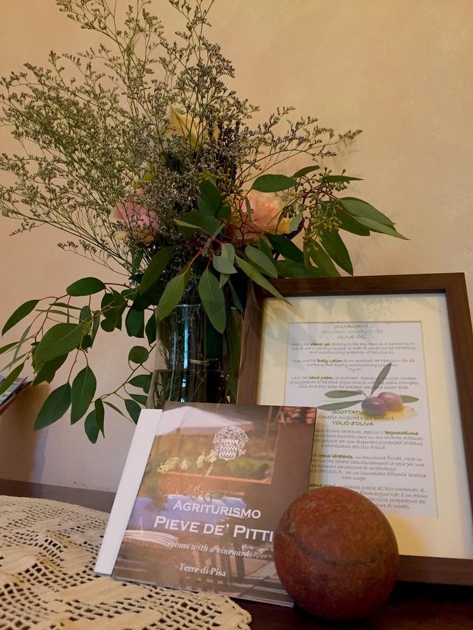 Pieve De' Pitti Bed & Breakfast Terricciola