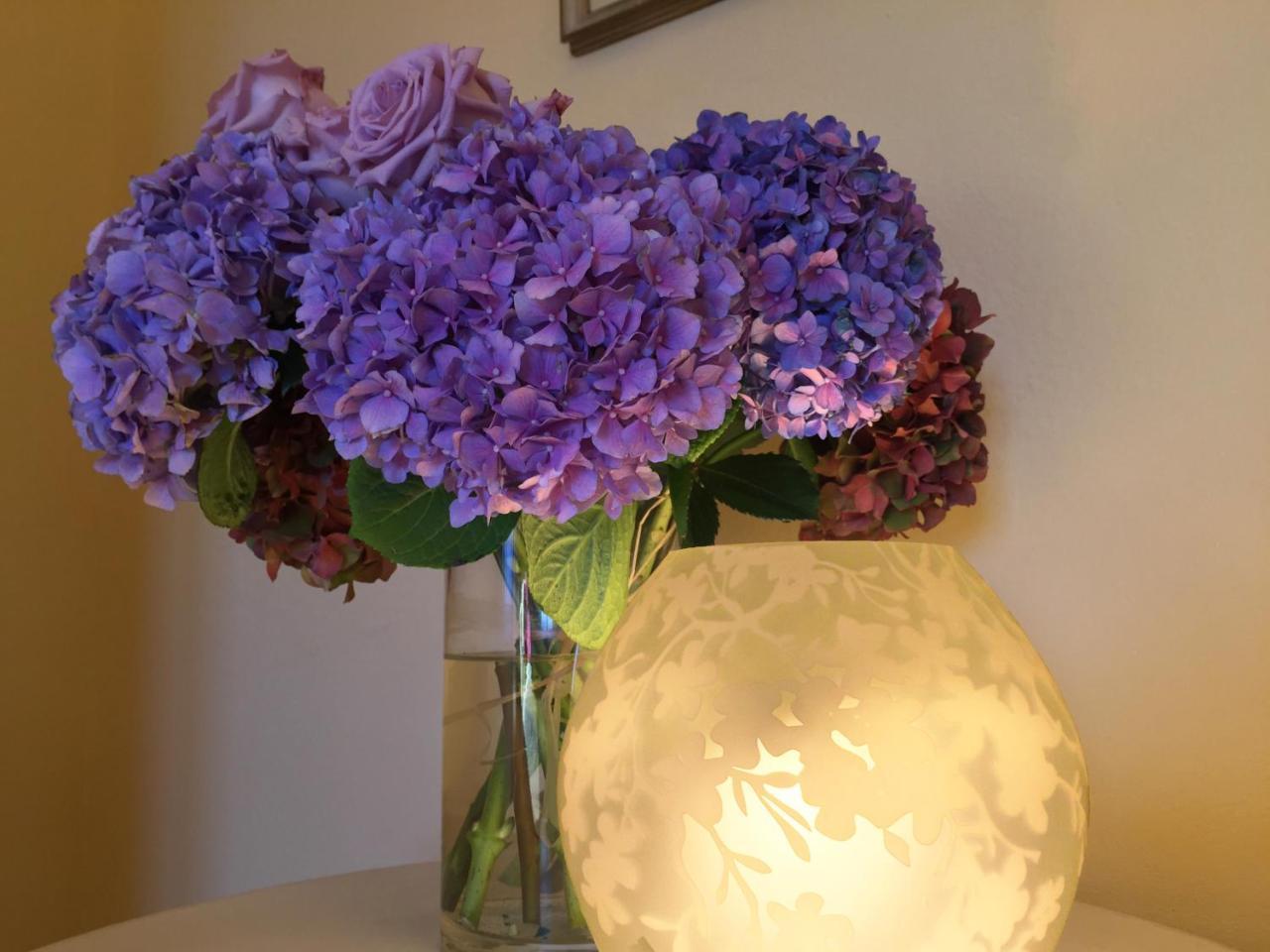 Bed & Breakfast Pieve De' Pitti Terricciola