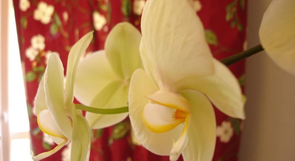 Bed & Breakfast Pieve De' Pitti